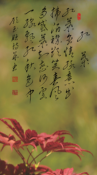 顾玉旺作品 《红叶》释文：红叶含情绿意出，拂洒襟欲笑春风。多感叶知恋何处，一线飘红秋色中。